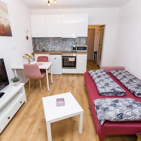Apartment Near The Ondrej Nepela Winter Stadium ブラチスラヴァ エクステリア 写真