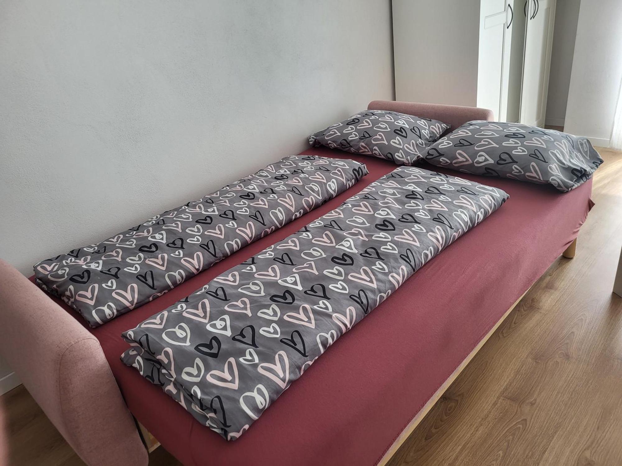 Apartment Near The Ondrej Nepela Winter Stadium ブラチスラヴァ エクステリア 写真